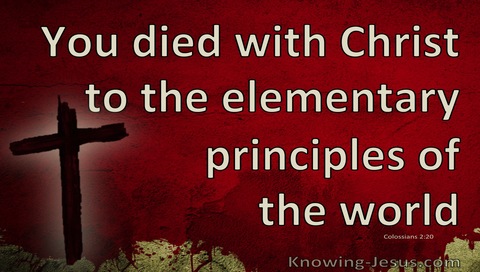 Colossians 2:20 You Died To The Elementary Principles Of The World (maroon)